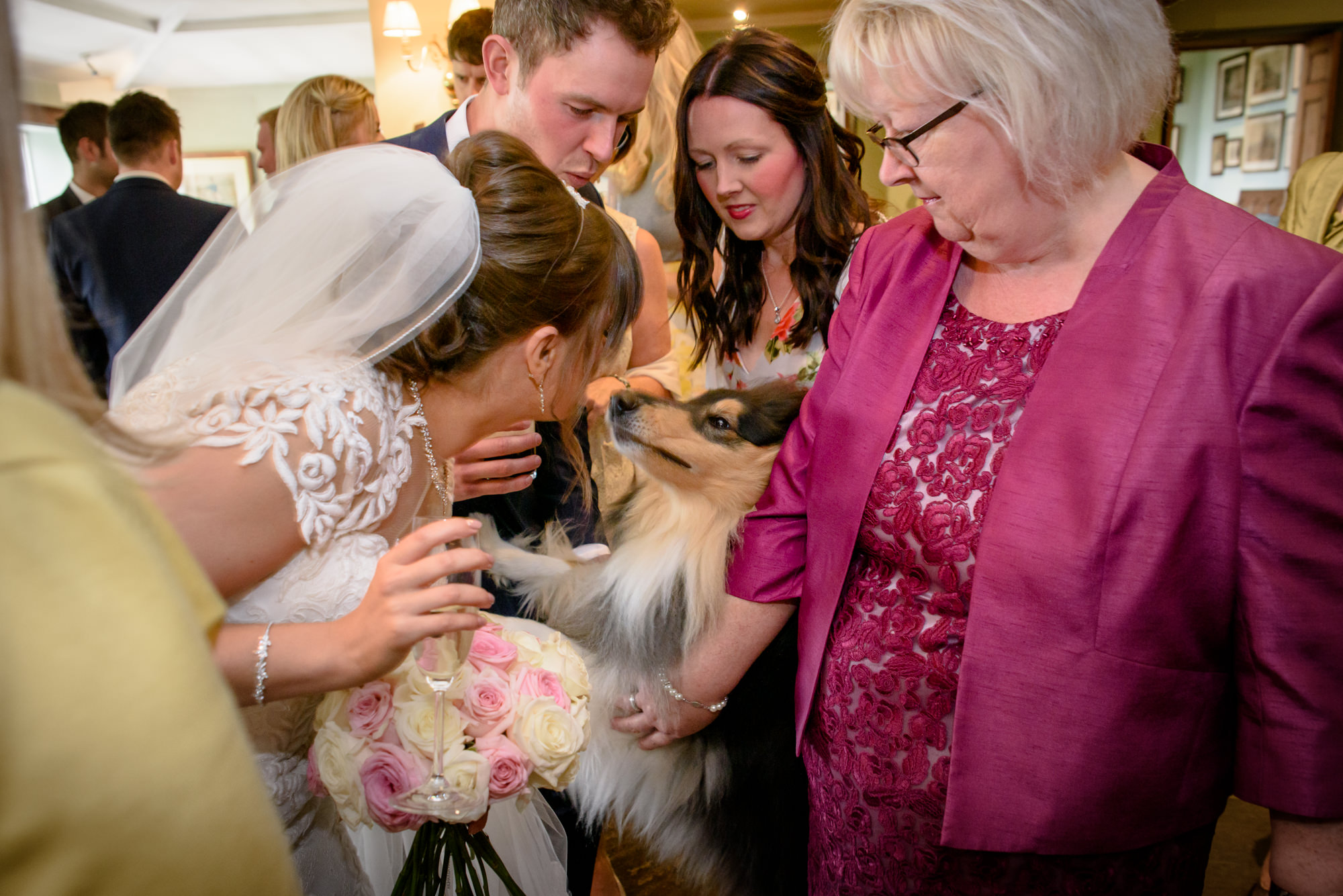 Brid welcome her dog at the wedding