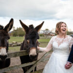 bride and groom with the donkeys at The Aviary in Ormskirk