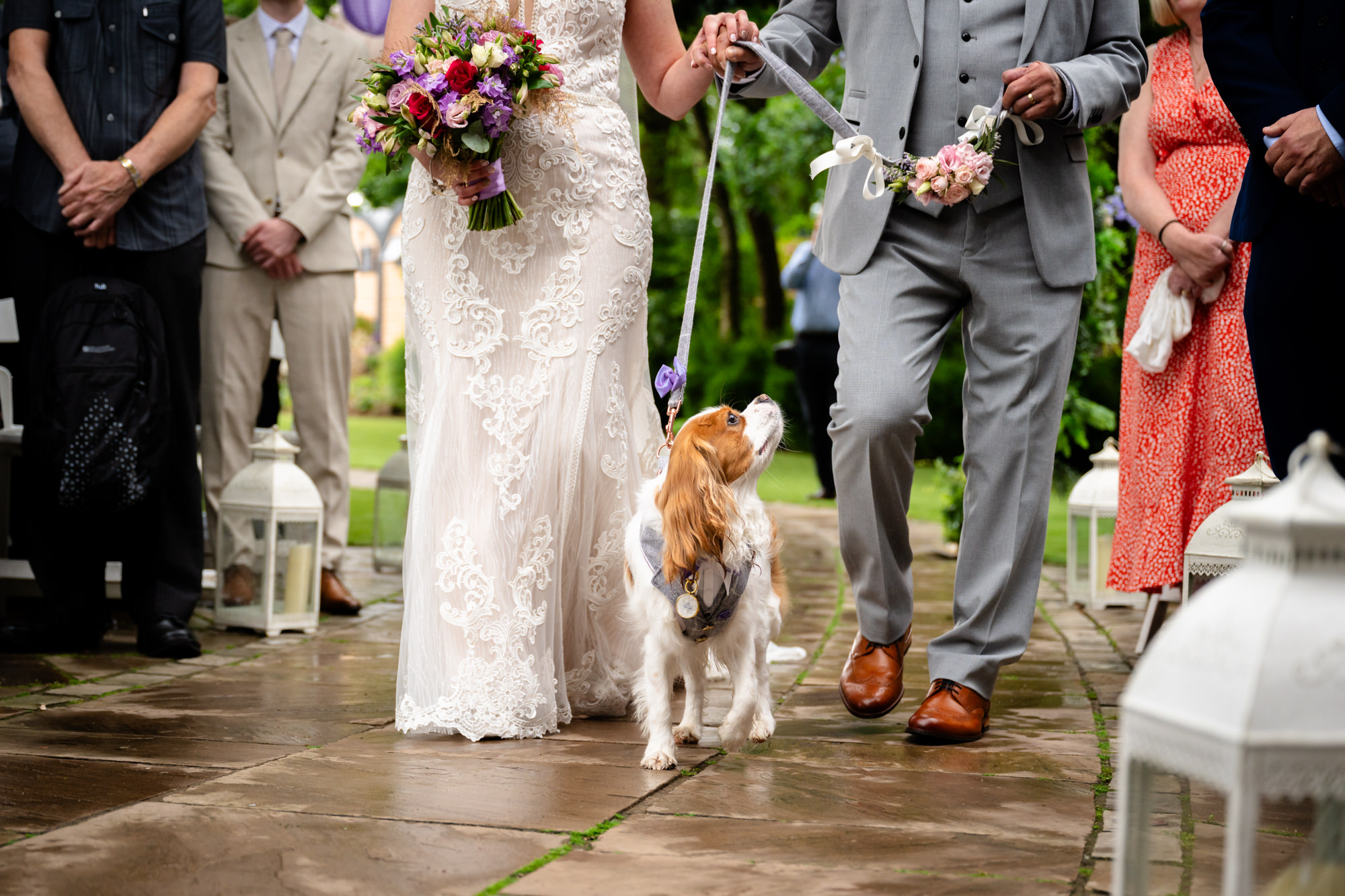 A close-up of a bride in her white gown, walking down the aisle with a small dog on a leash beside her, during the outdoor ceremony at Moddershall Oaks.