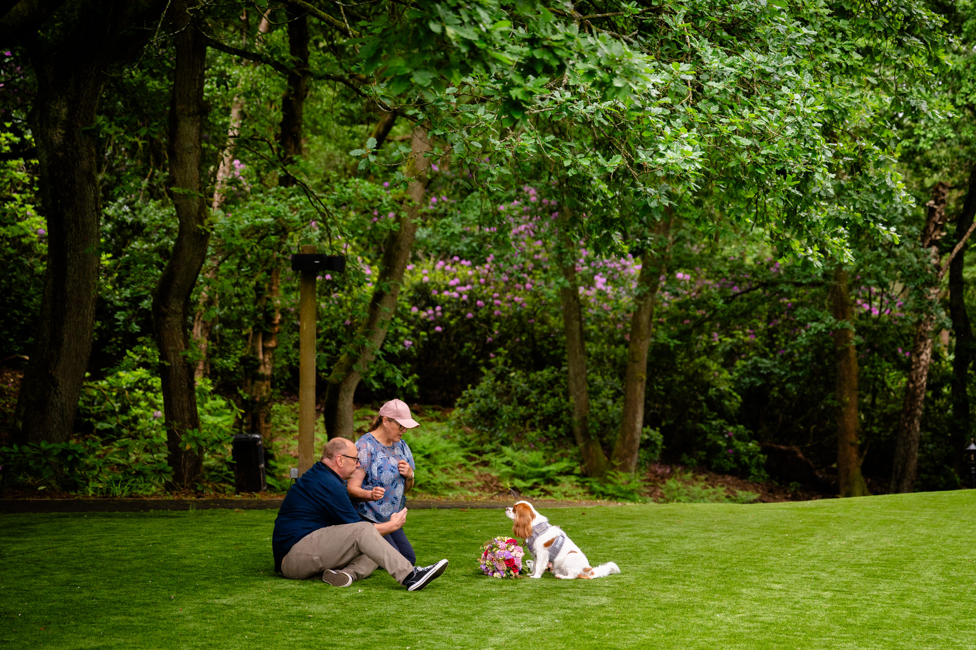 A wide shot of two people and a small dog, acting as dog chaperones, sitting on the grass under large green trees, in a relaxed outdoor setting at Moddershall Oaks.
