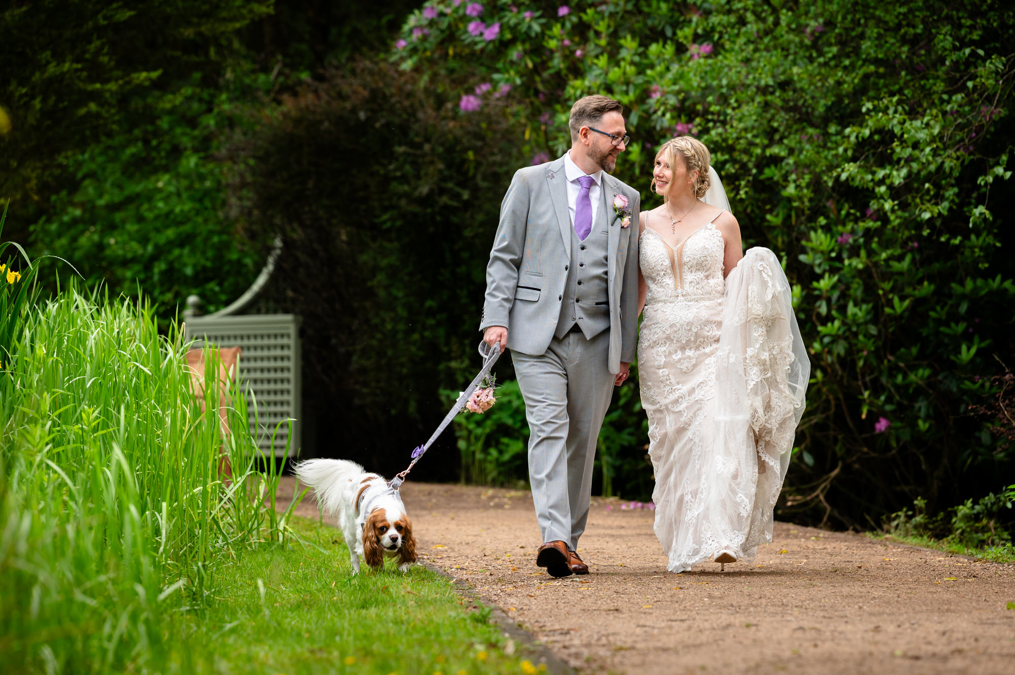 The bride and groom walk hand in hand on a paved path, with their small dog leading the way on a leash through a natural setting, during relaxed portrait photos around the lake at Moddershall Oaks.