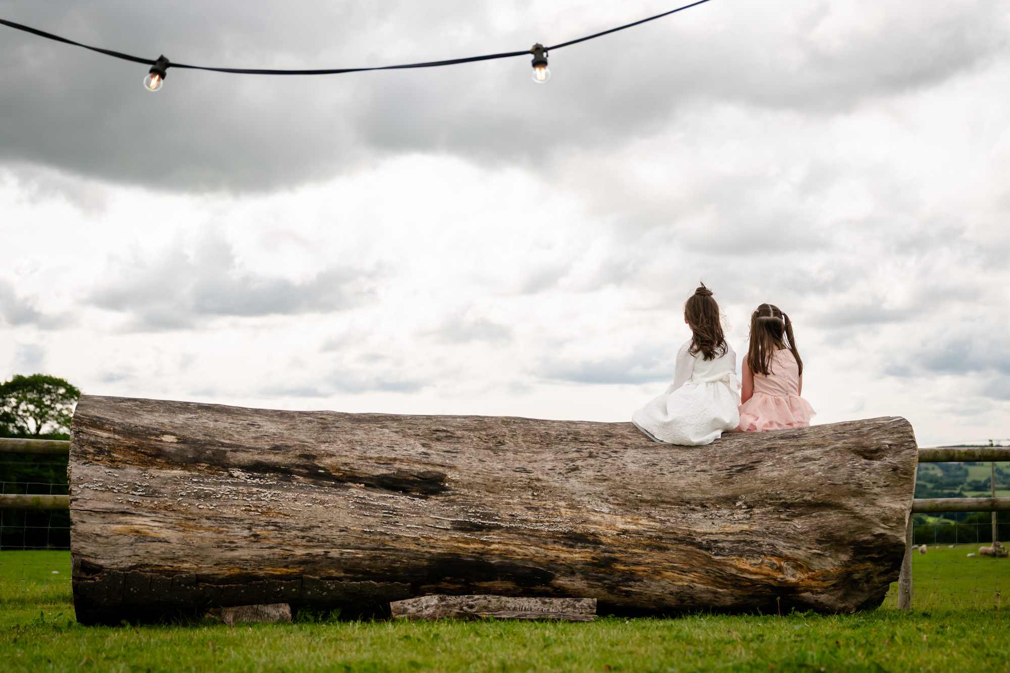 Two girls are captured from a distance, sitting on a tree at Heaton House Farm under a cloudy sky.