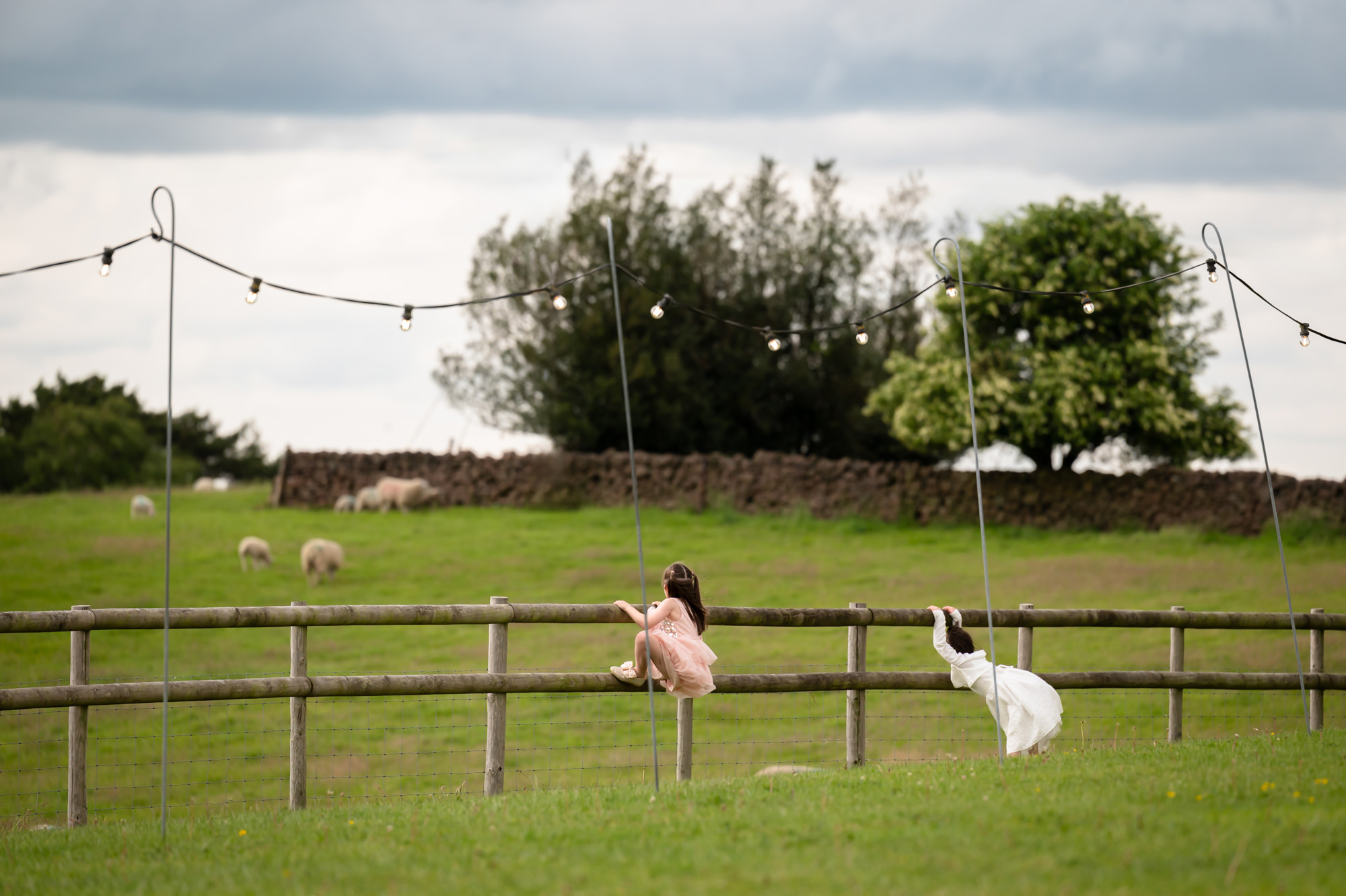 A fun moment of two girls captured from a distance as they playfully walk along a fence at Heaton House Farm.