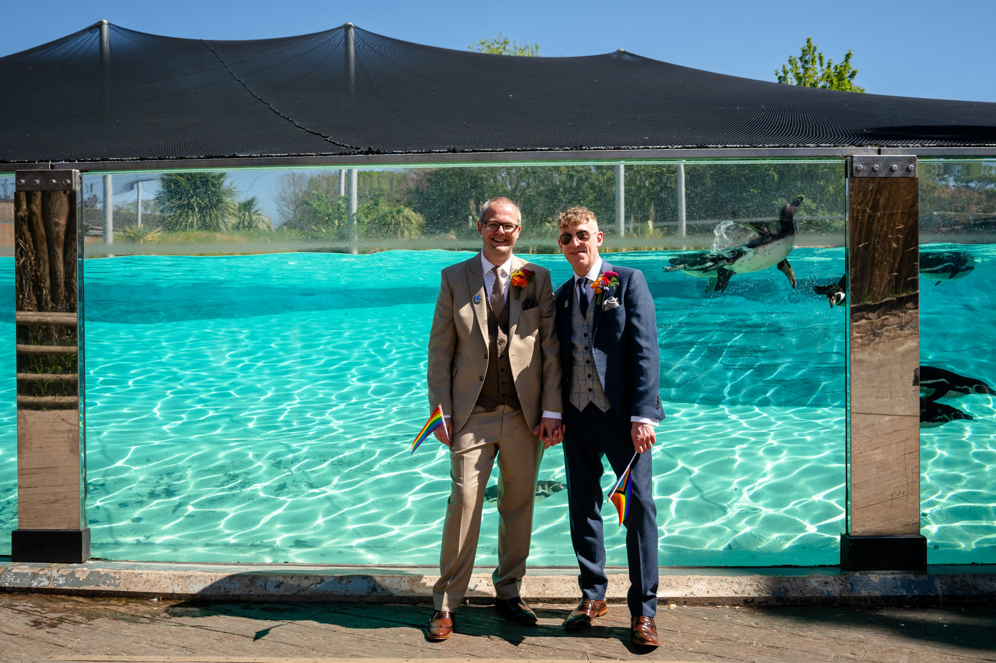 Marc and Dom hand in hand in front of the penguin pool at Chester Zoo.
