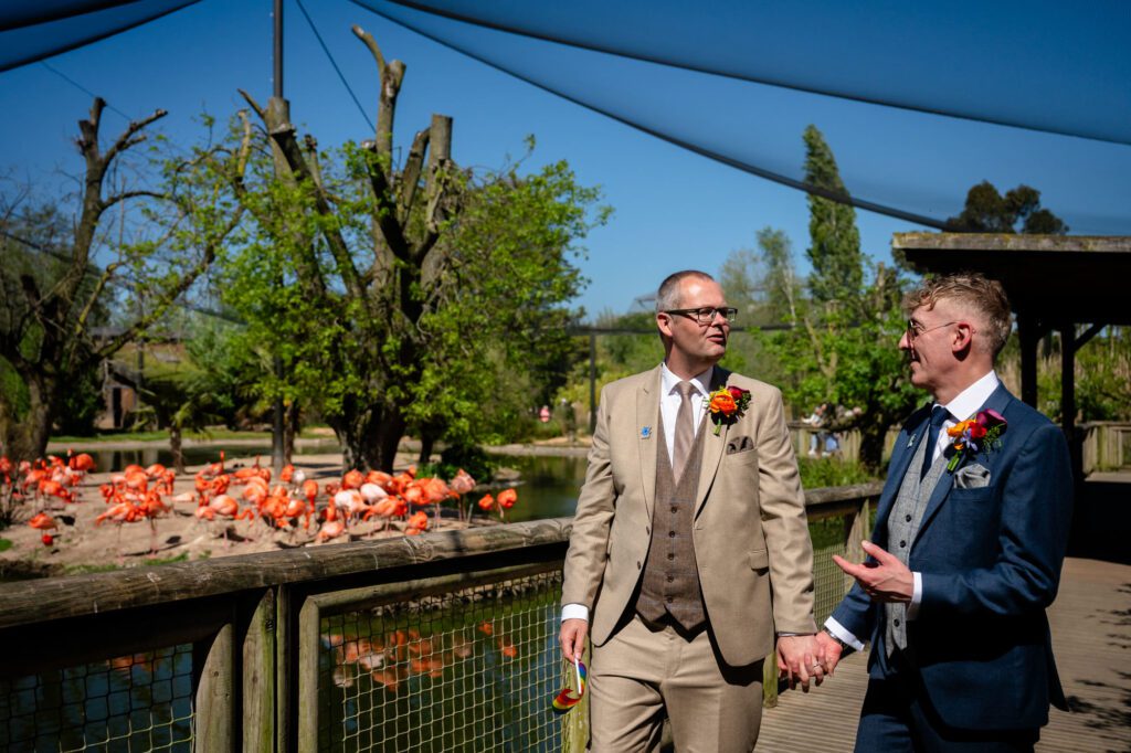 Marc and Dom walk the boardwalk past the flamingos at Chester Zoo.