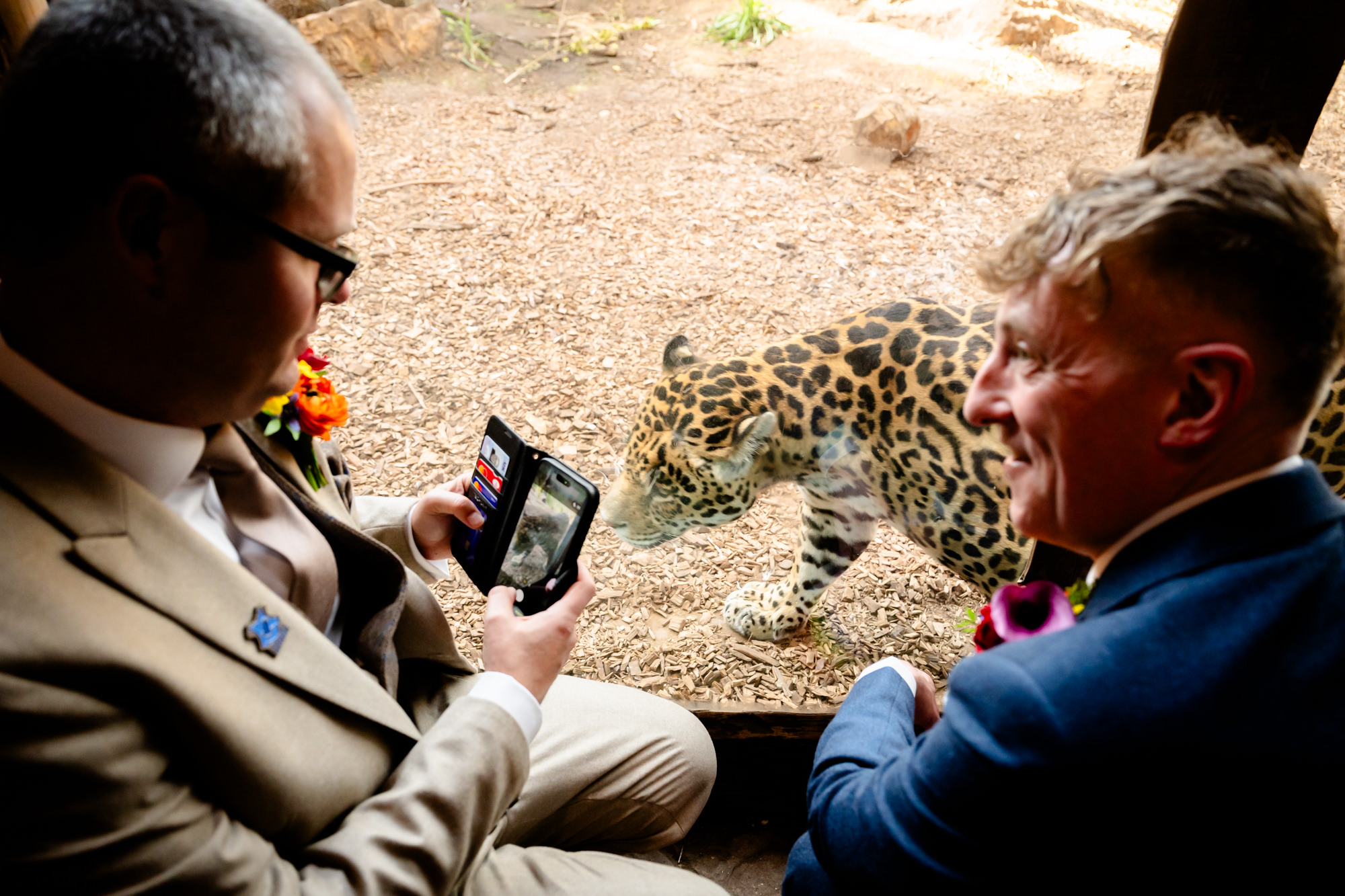 Dom photographs a jaguar through the glass, with Marc, on the ranger tour.