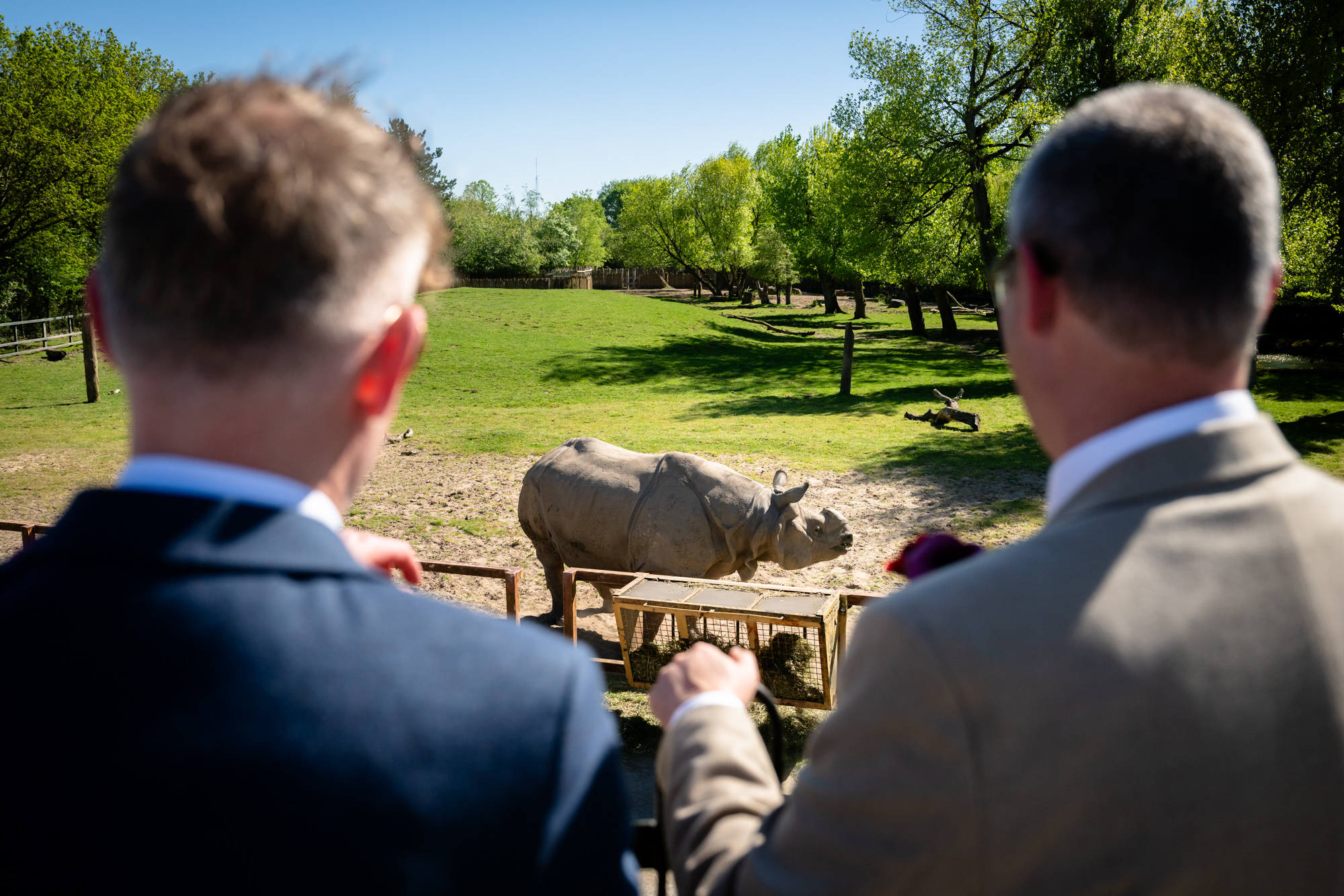 Marc and Dom watch a greater one-horned rhino on the ranger tour at Chester Zoo.