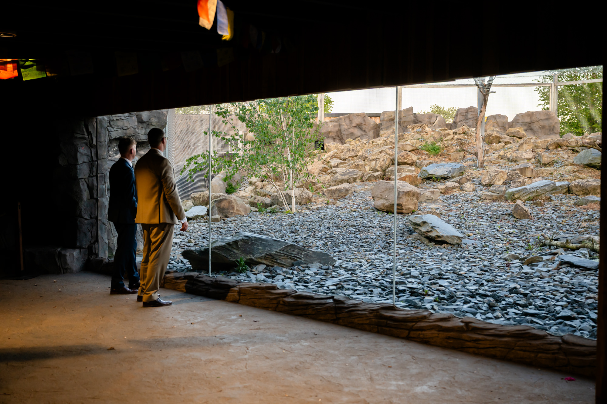 Marc and Dom look out over the snow leopard enclosure at Chester Zoo.
